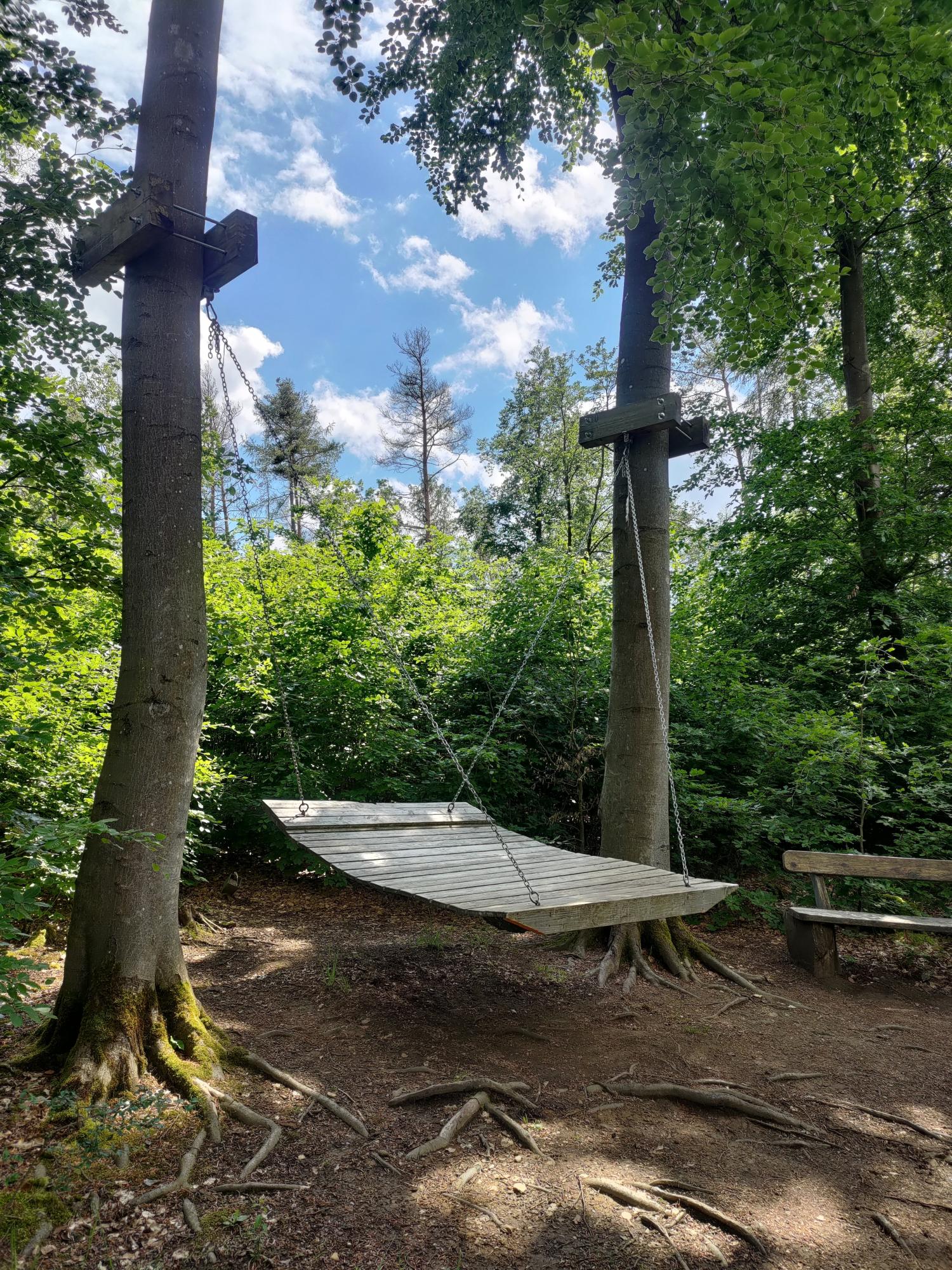 Große Holzschaukel zwischen zwei Bäumen im sonnigen Wald, daneben eine Bank.