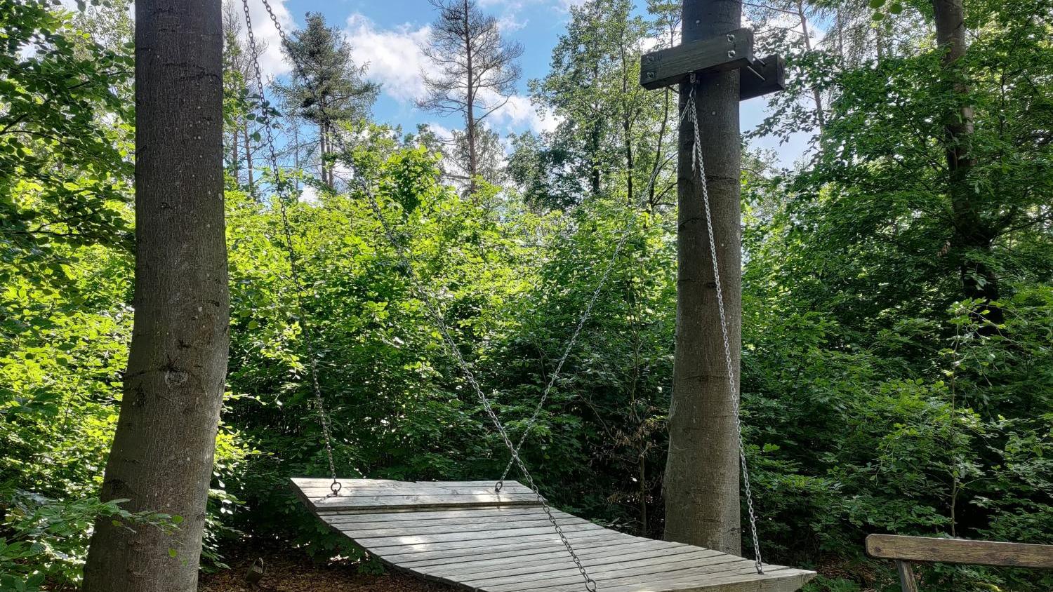 Große Holzschaukel zwischen zwei Bäumen im sonnigen Wald, daneben eine Bank.