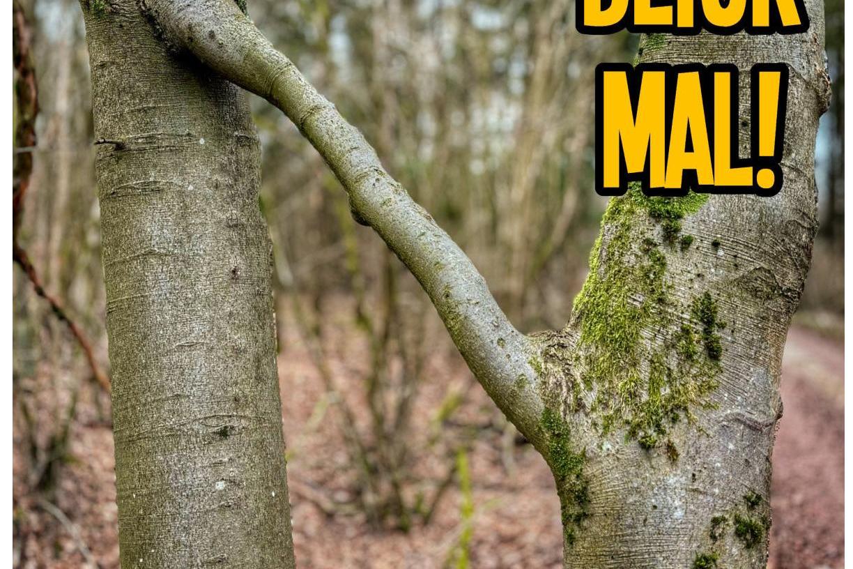 Titelbild AugenblickMal! April bis Juni 2026