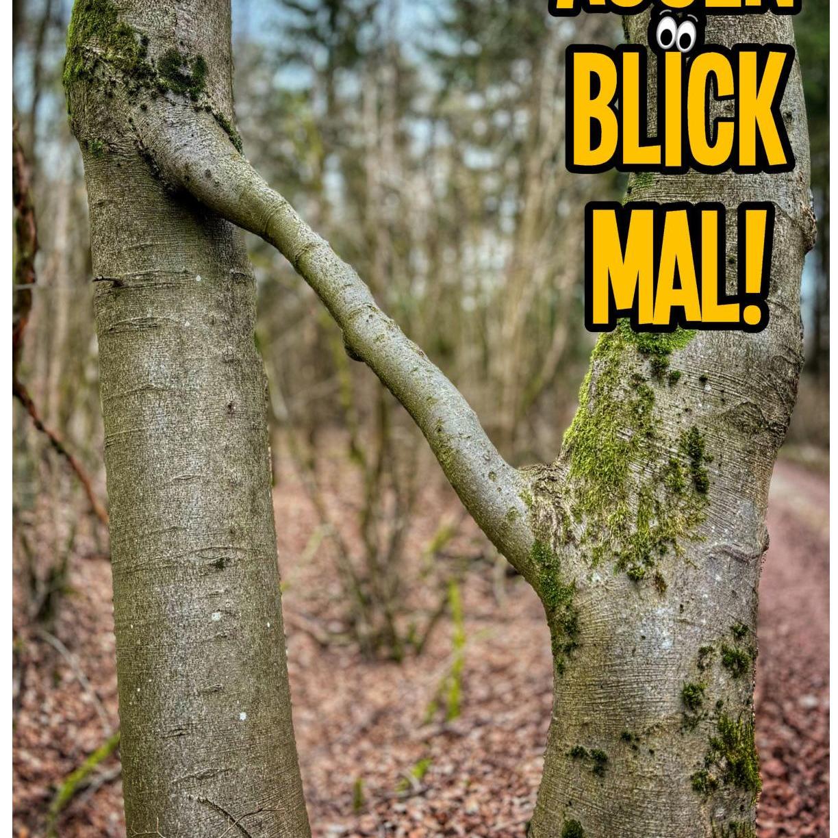 Titelbild AugenblickMal! April bis Juni 2026